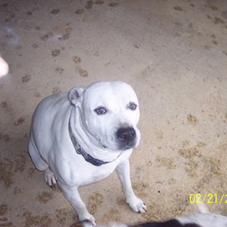 Profile Picture of Bert Jarvis (@bert.jarvis) on Facebook