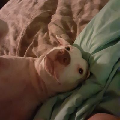 Profile Picture of Tori Parrish (@ToriParrish10) on Twitter