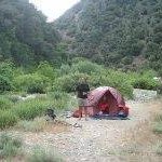 Profile Picture of Lance Hayden (@lance3370) on Instagram