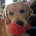 Profile Picture of Crystal Chadwick (@cchadwick0817) on Pinterest