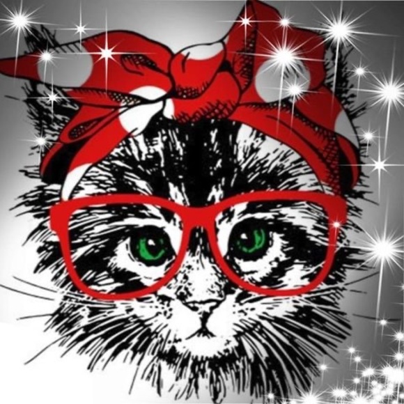 Profile Picture of Rosanne Krocker (@rak050158) on Poshmark