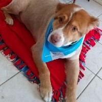 Profile Picture of Jesse Samaniego (@jesse-samaniego-7) on Quora