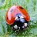 Profile Picture of Ralf aus der Vündte (@ausdervndte) on Pinterest