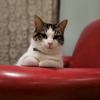 Profile Picture of Eric Burt (@ericburt7) on Tiktok
