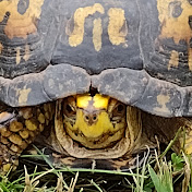 Profile Picture of Barry Cleaver (@butchclapsaddle1580) on Youtube