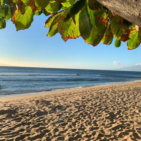 Profile Picture of Neelam Rai (@neelamrai) on Poshmark