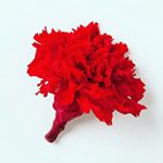 Profile Picture of Rumondor - Maluegha (@johnmarcell_) on Instagram