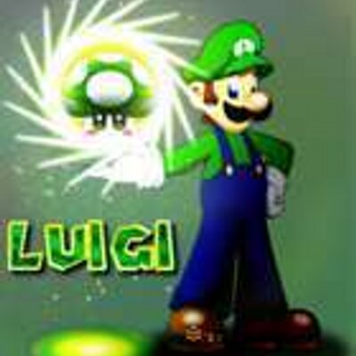 Profile Picture of Michael Barboza (@luigi28156) on Twitter