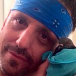 Profile Picture of Chad Bowman (@pigeonsrawesome) on Instagram