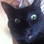 Profile Picture of Tammy Dexter (@michellep2004) on Instagram