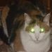 Profile Picture of Ralph Coy (@ralph.coy.3) on Facebook