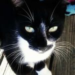 Cassandra Tucker - Instagram Profile Picture of Cassandra Tucker (@cassandratucker625) on Instagram