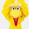 Profile Picture of Alex Havens (@@bigbird067) on Tiktok
