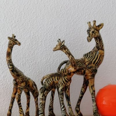 Profile Picture of John Askey (@johnaskey17) on Twitter