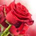 Profile Picture of Nancy Padron (@nancy.padron.5811) on Facebook