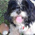 Profile Picture of Starr Perry (@starrperry) on Instagram