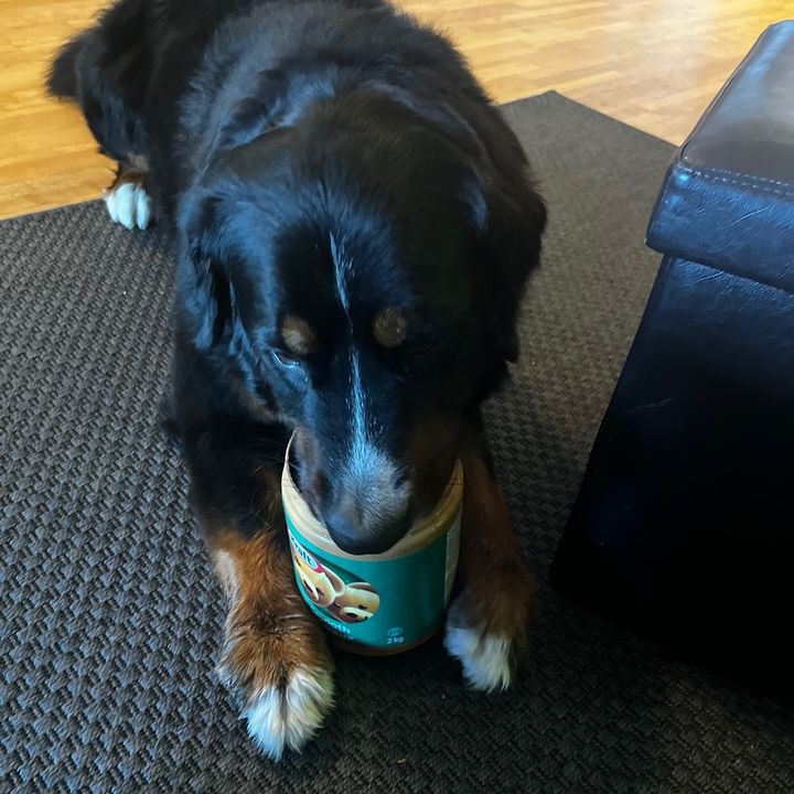 Profile Picture of Matthew Ireland (@matthewireland_11) on Tiktok