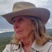 Profile Picture of Deb Snell (@debsnell716) on Youtube