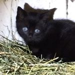 Profile Picture of _jesse_wierenga_ (@_jesse_wierenga_) on Instagram