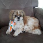 Profile Picture of Toby (@faller_toby) on Instagram