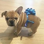 Profile Picture of nell (@burger_el83bac) on Instagram