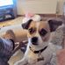 Profile Picture of Paul Hester (@profile.php) on Facebook