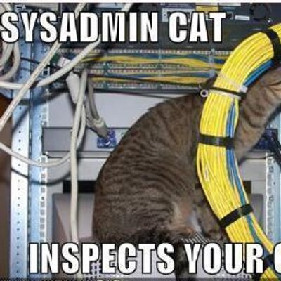 Profile Picture of Marco Catalan (@mcat95) on Twitter