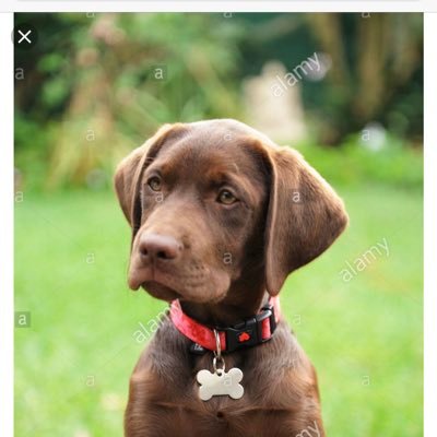 Profile Picture of Jayboi (@JasonHolloman7) on Twitter