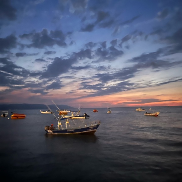 Profile Picture of Sofia Moore (@gavinsauers) on Poshmark