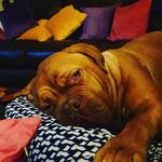 Profile Picture of Kate Edwards Tulloch (@edwardstulloch) on Instagram