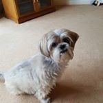 Profile Picture of Ian Goodall (@ian.goodall.75054) on Instagram