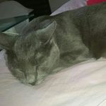 Profile Picture of Zoè Chacon (@chacon.zoe) on Instagram