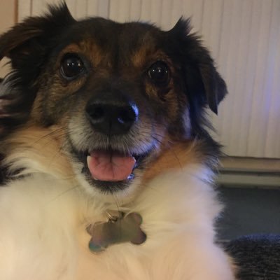 Profile Picture of Megan Heller (@megs_heller) on Twitter