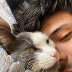 Profile Picture of Brian Maciel (@brianmaciel9) on Instagram