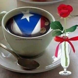 Profile Picture of Wilfredo Alicea Rolon (@wilfredo_rolon) on Twitter