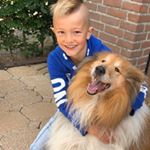 Profile Picture of Bram Huntemann (@bramhuntemann) on Instagram