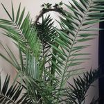 Profile Picture of Christian Bartolo (@bartolo_christian) on Instagram