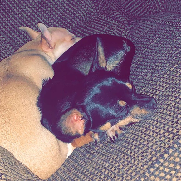 Chris Hewitt - Poshmark Profile Picture of Chris Hewitt (@chrishewitt) on Poshmark