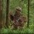 Profile Picture of Matthew Morley (@matthewmorley77) on Pinterest