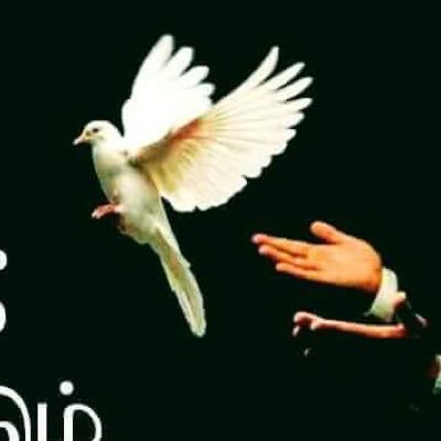 Profile Picture of Jeyasingh (@Jeyasin31577535) on Twitter