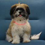 Profile Picture of Peter Luís Nazário de Lima (@peter.lnd) on Instagram