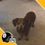 Profile Picture of Amy Schellhammer (@amy.schellhammer) on Facebook
