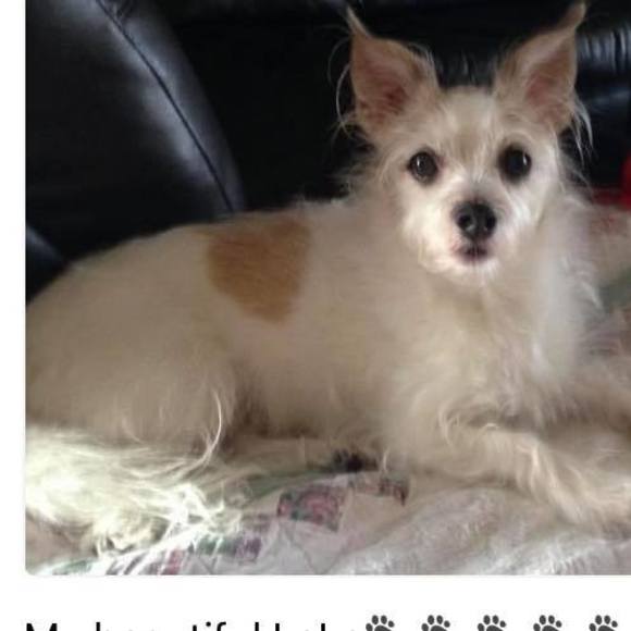 Marci Vitale - Poshmark Profile Picture of Marci Vitale (@marcivitale) on Poshmark