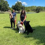 Profile Picture of Applied Canine Concepts (@appliedcanineconcepts) on Instagram