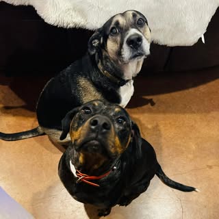 Profile Picture of Brad Goudeau (@bradgoudeau) on Instagram