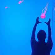 Profile Picture of Srdjan Baclija (@192surge) on Youtube