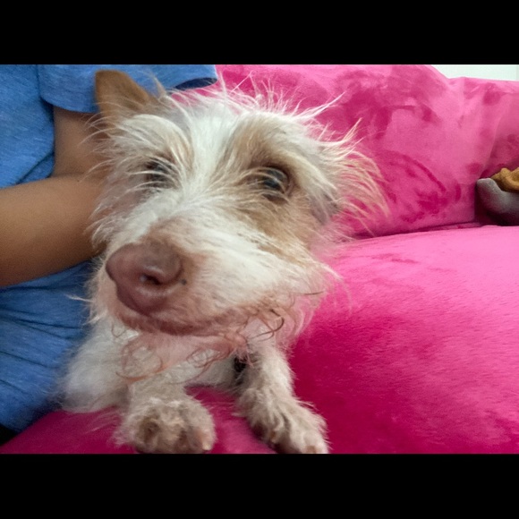 Profile Picture of Itzel Diaz (@idiaz21631) on Poshmark