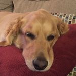 Profile Picture of Michele Hanks (@michele_hanks) on Instagram