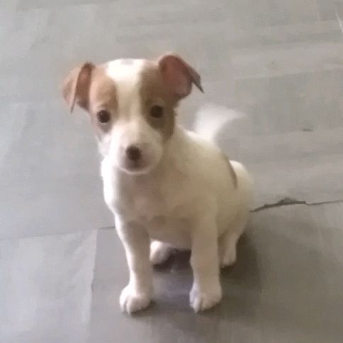 Profile Picture of Crystal Ramsey (@@crystalramsey52) on Tiktok