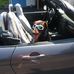 Profile Picture of Michael Notorangelo (@Michael-Notorangelo) on Facebook